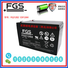����FGS��늳�FG21202 12V12AH ���܃x�� ����l늰l늏S