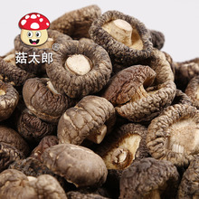 河南香菇工廠原產地香菇工廠出口冬菇干制食用菌干制香菇1.5-2cm