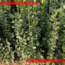 ����������~�S���� ������ ͥԺ�����h����С�^��·�ļ���G����