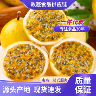 ��ȫҎ�񡿏V��������J�� ���l3/9������ɏˮ������������