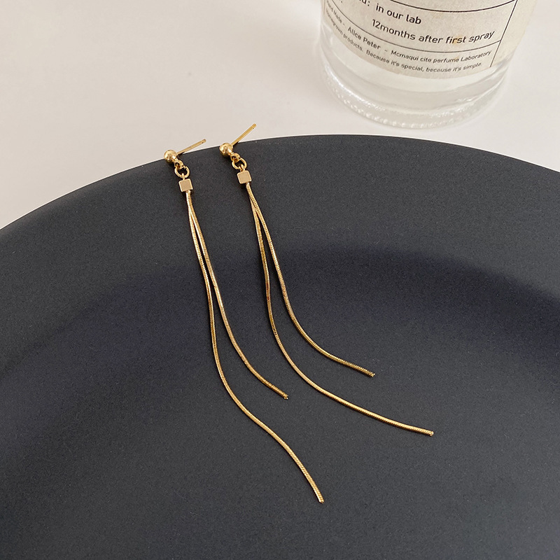 Aretes largos de bordas femeninas famosas líneas frías de aretes de agujas de plata de alta calidad 2025 nuevos aretes de moda image 4