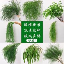 �Gֲ�����J���ݻ�c�����b��G�~����ɭϵ��Y�廨�Gɫ��ˇ