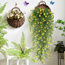 ���控���ȼ����ڒ��҃����⠝�ڻ�Y�b���������컨�Gɫ���h