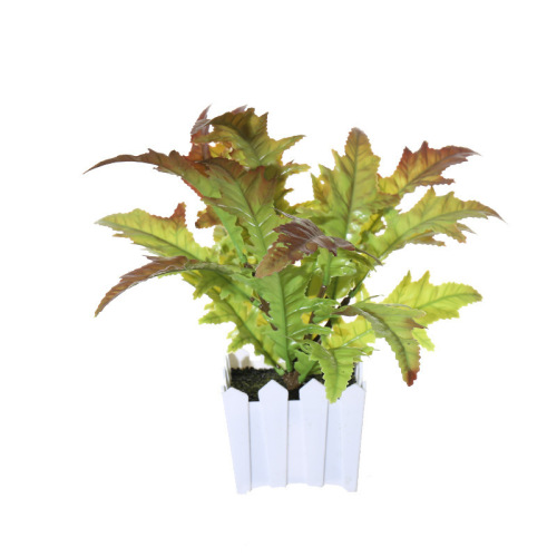 Plastic Spring Fern Plant Pot Landscape Factory Direct Supply Artificial Plant Indoor Ornament Artificial Flower One Piece Dropshipping Green Plant