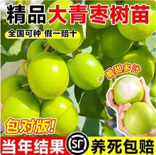 ��������̨�������������ţ�̗��۽z���޽�����������箔��Y��