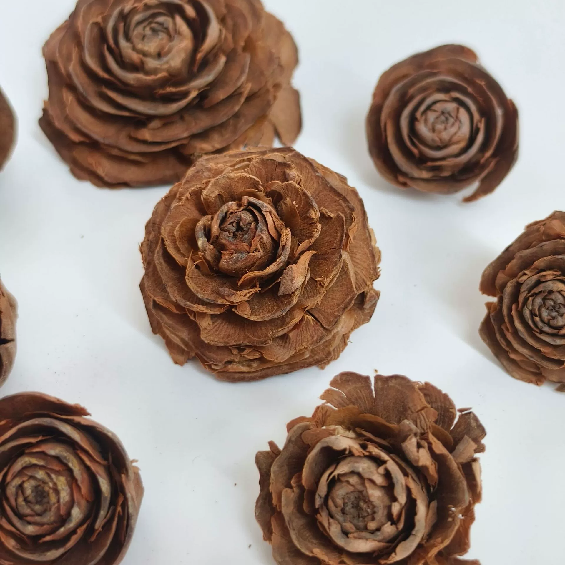 Настроить | Кросс-бордерная роза Sede, импортная деревянная роза, натуральный растительный образец, декор в стиле дзен, реквизит для фотосъемки