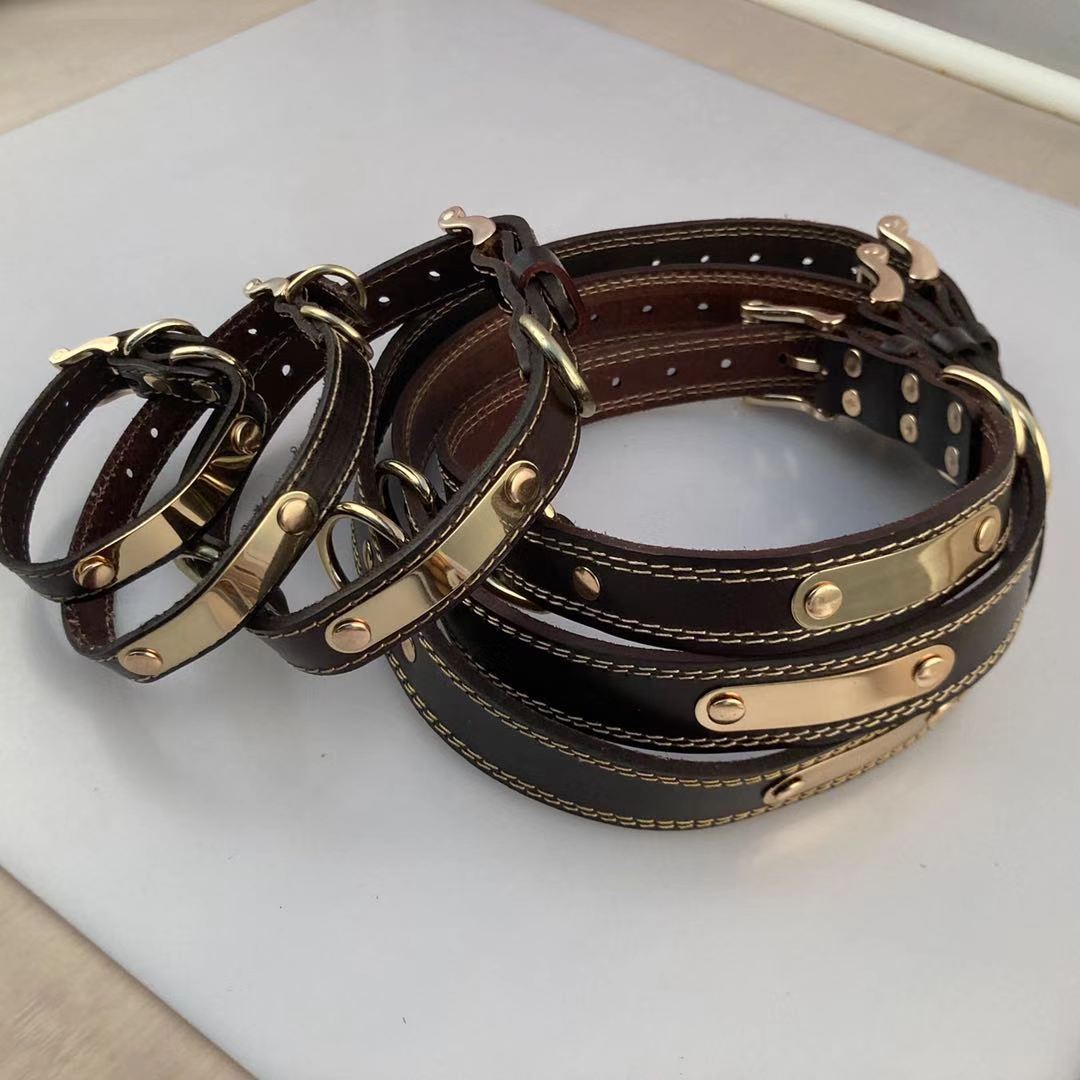 Dog Collar Image 4