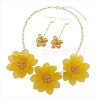 Necklace and earrings, set, Amazon, European style