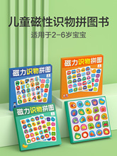 宝宝磁力识字拼图识物儿童3到6岁磁性认字板平图2岁1幼儿益智玩具