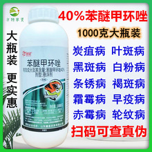 40%苯醚甲环唑锉挫白粉病炭疽病叶斑病锈病果树农药杀菌剂1000克