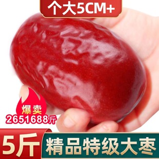 �½��󗗼t�����E��������ЋD��ʳ500�˺����񗗹ٷ���Ş��