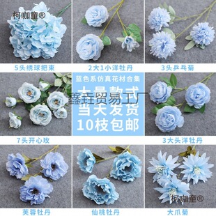 �{ɫ��c����피ٻ���Y�����b�·�������ٻ���ˇ���Ľ���̫��