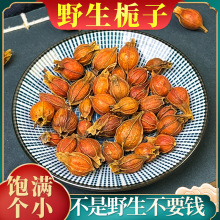 栀子中药材野生山栀子黄栀子干姜汤龙胆草黄芩酸枣仁百合黄芪当归