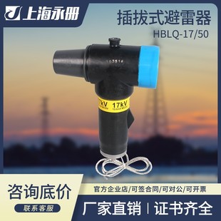 10KV European cable plug-in lightning arrester 35kv branch box rear joint elbow BLQ-17/50/630A