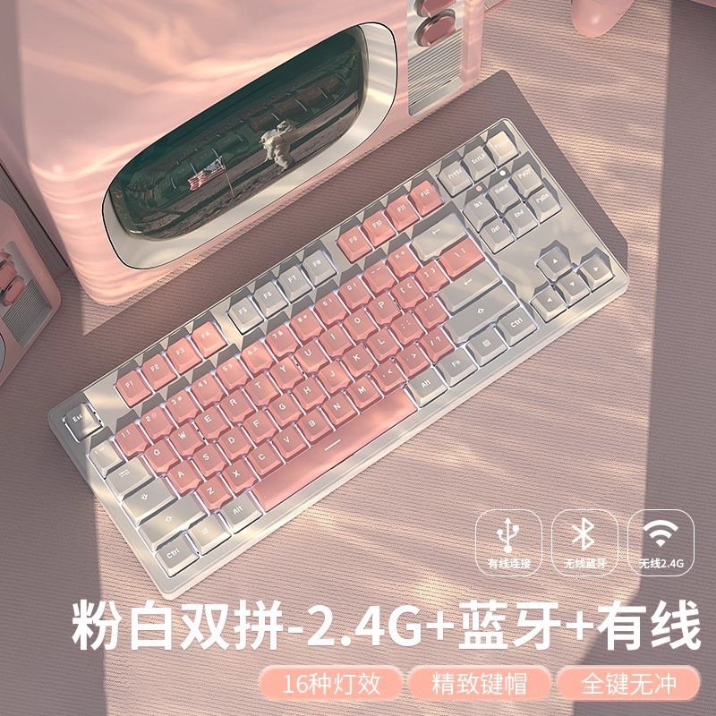 ゲームのノートの女子学生の赤い軸の青い軸は事務のデスクトップのコンピュータの機械のキーボードのピンクのかわいい有線の電気を競います。