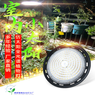 Fleshy rose plant fill light imitation sun full spectrum green plant indoor orchid growth light algae explosion light