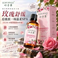 正品叶子草玫瑰舒缓按摩精油身体按摩油开背推拿美容院刮痧油批发
