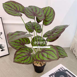 仿真绿植手感胶叶绿植仿真大西瓜叶子假树家居客厅装饰植物墙婚庆