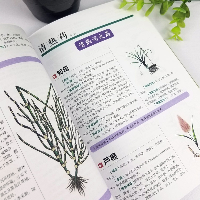 図解漢方薬大全48養生中医入中材識別図鑑書籍は郵送しません。