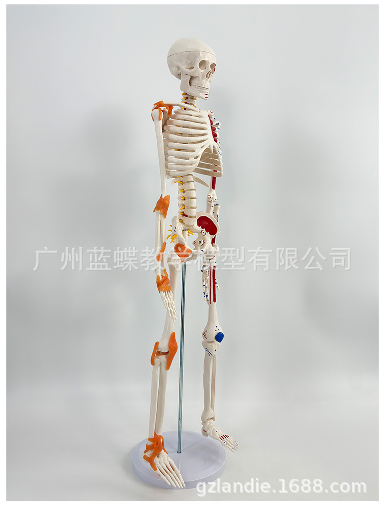 详情_25