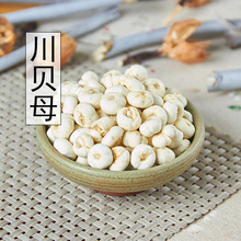 ��Ʒ��ؐҰ����ؐĸ��ؐ��ș������ؐ�Ĵ�ֱ�Nĥ��ؐ��500�˰��]