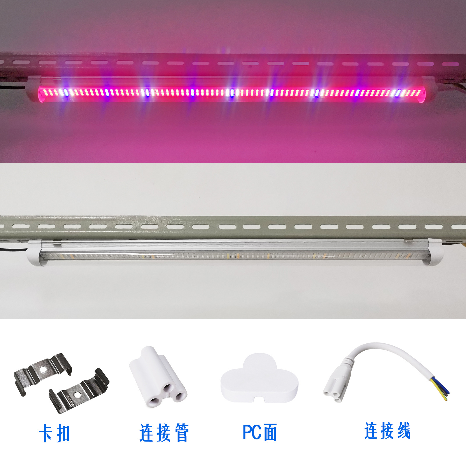 羳18WT8ֲƹҴݮ˻ܲ