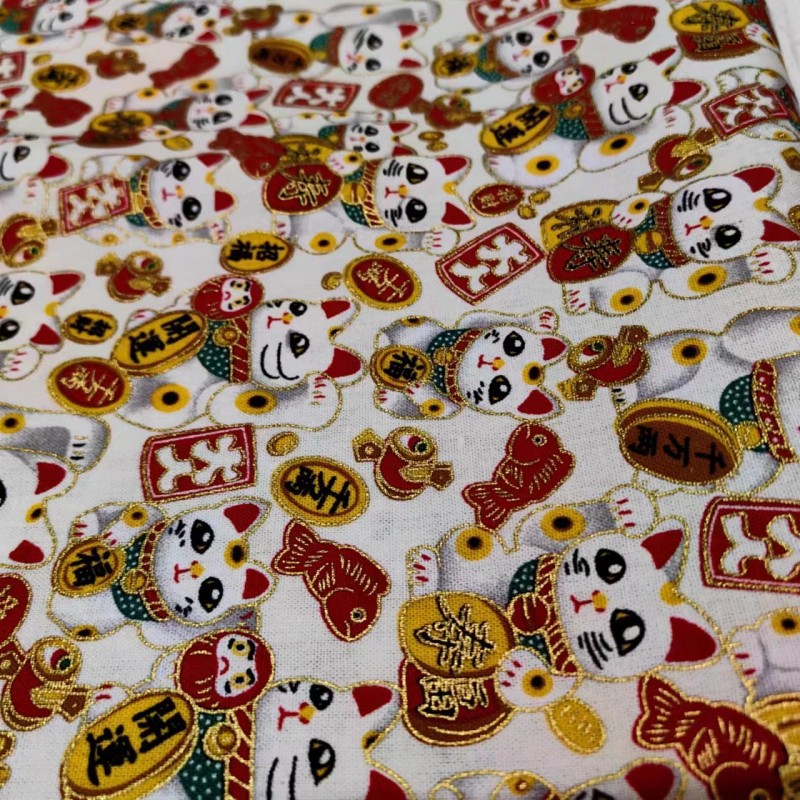 흰 배경으로 럭캣