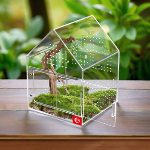 �羳����ʽ������֩��\ �W��͸�����x���Є��Ϣ����B��