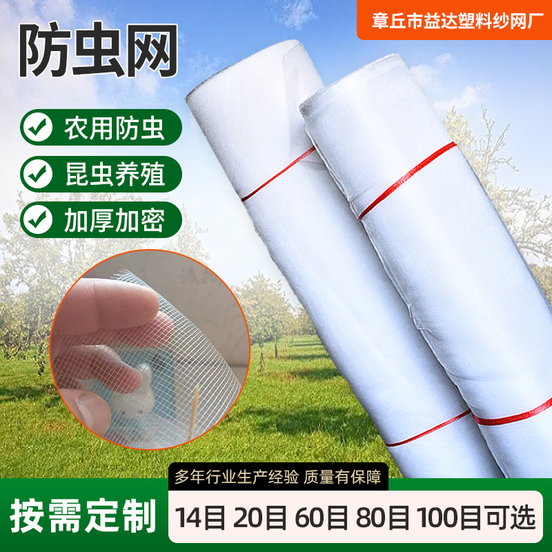 防虫网pe加厚加密大棚蔬菜果园网罩防鸟保护网植物园艺防虫网