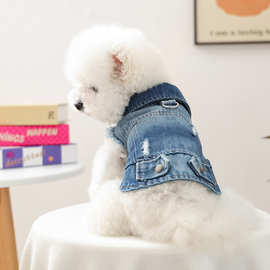 宠物衣服秋冬新款小型犬幼犬快乐狗猫保暖舒适复古炫酷牛仔衣