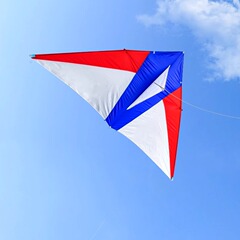 高級王子凧本店大人用2025新特大高級高品質三角