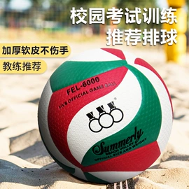 篮球;足球;排球