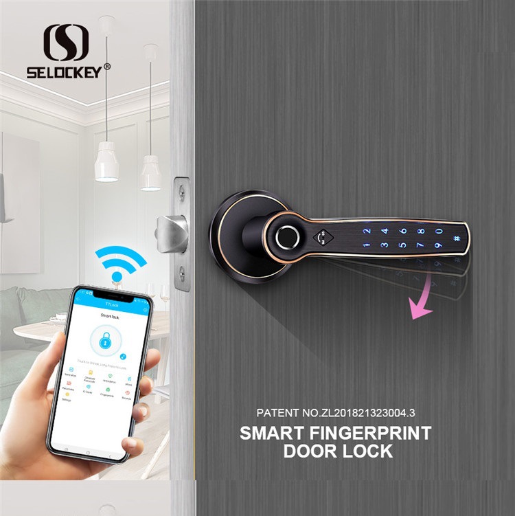 海外仓代发TTlock智能门锁密码锁球形分体锁室内静音指纹锁