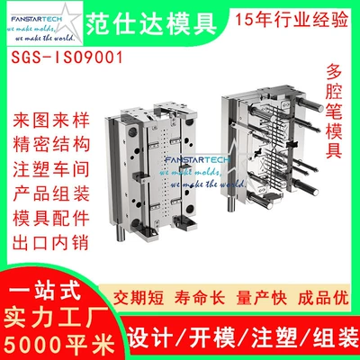 Avtomobil hissələri qəlibləri processing precision injection molding