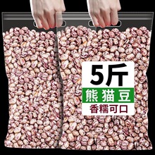 ��؛��؈������r���Ԯa���r�С��ܿ�����l�¶�؈�۶��׶��ּZ