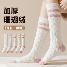 ɺ���qС���m��Ů�ﶬ�Ӻ�ë�q�Ӽ�˯�ߵذ��m�ЋD�a��ů�����m