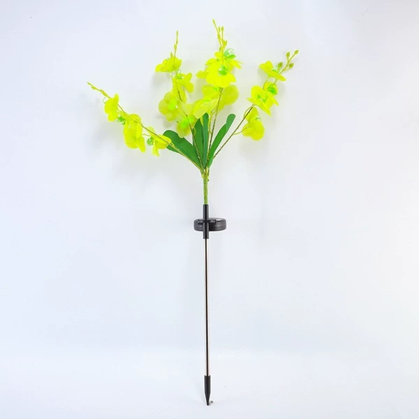 5-forked Phalaenopsis Green