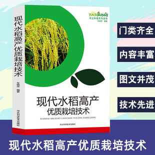 Modern rice high-yield cultivation techniques agricultural planting series reading books agricultural planting techniques