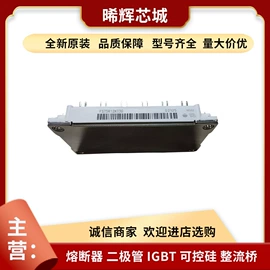 普通晶闸管;IGBT模块;其他二极管