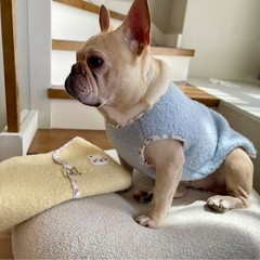 宠物衣服厂家批发狗服装宠物服装秋冬斗牛款25斗牛犬绒背心