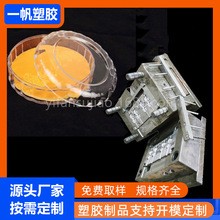 模具加工厂 开模注塑模设计生产全自动塑胶产品各类塑料制品 模具