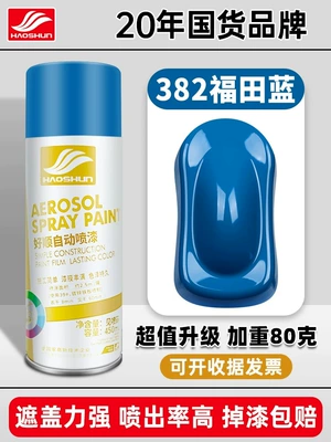 Doesn'T Fade Graffiti Wall Interior – Avtomobil boyası - futian-blue-450mlbottle
