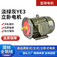 YE3系列380V高效三相异步电动机0.55KW-132KW铜线电机立/卧式电机