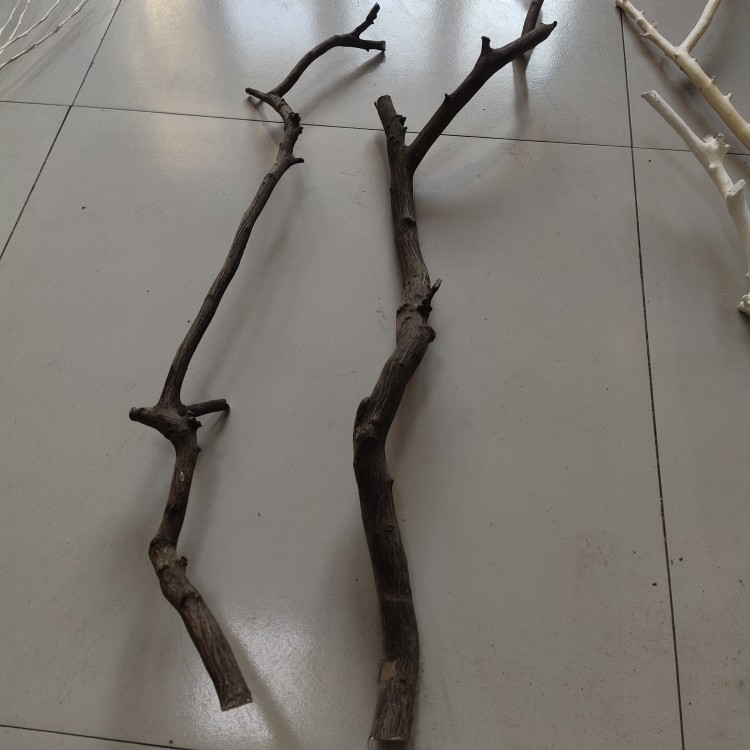 。Arquivos de flores de ramas secas de madera tronco artístico ramas secas maderas secas de madera secas descorpeadas modelado percha de pared paquete de tronco