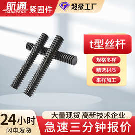 厂家现货梯形丝杆t型螺杆调节升降传动专用丝杆粗牙螺纹高强丝杠