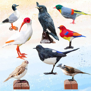 �����S�Z�B��ü�B�R�\���f�����B�W�^����Q����С�B�b[��ģ��