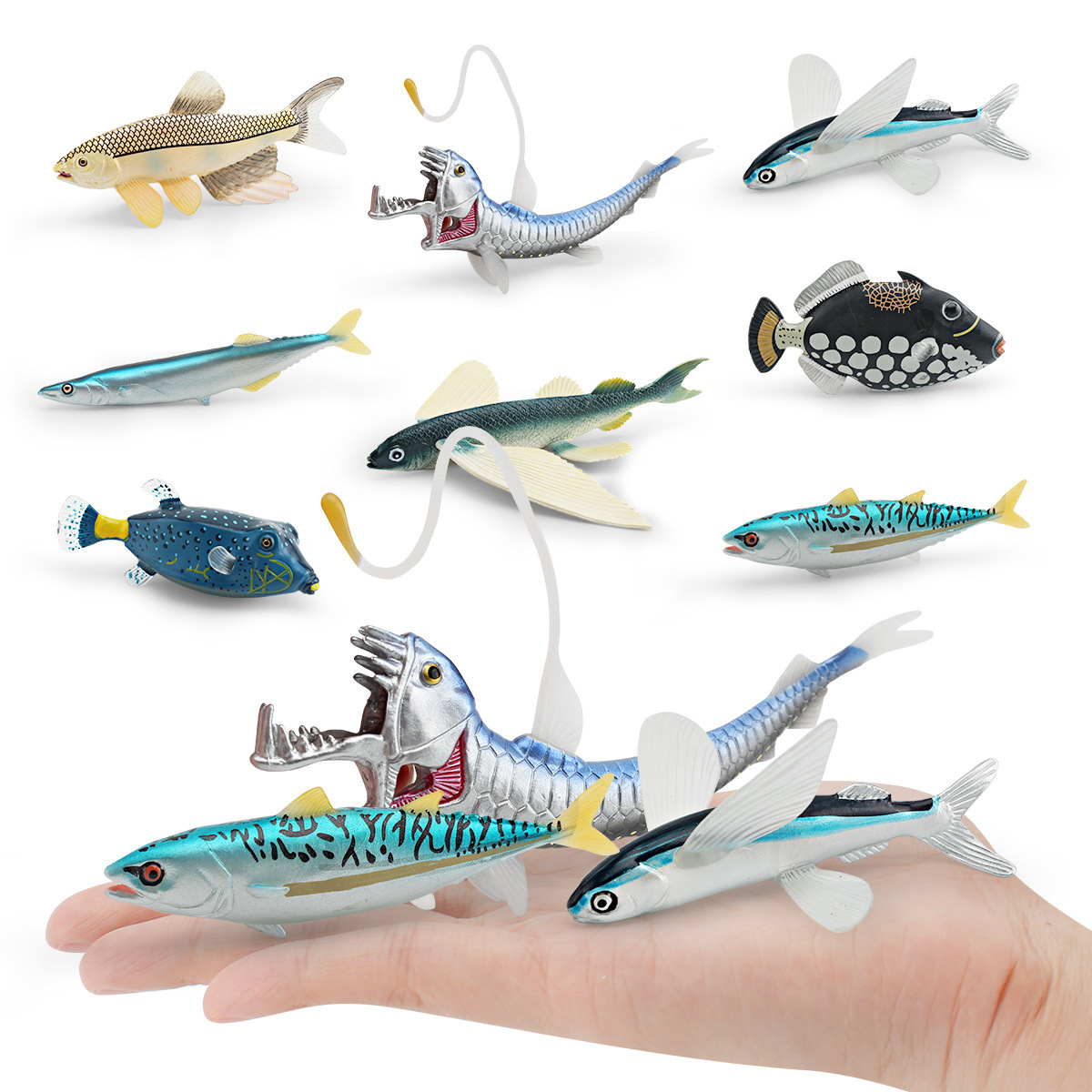 Exportación transfronteriza simulación de animales marinos conchas de cañón de peces, caparazones, atún, espada, peces voladores, adornos de modelo estático