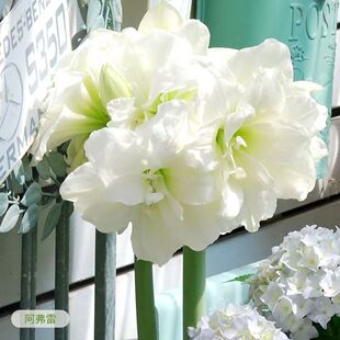 �����_��������피t�N�������҃��ذ�����̨���ܴ�ȫ�ļ�ͥԺ