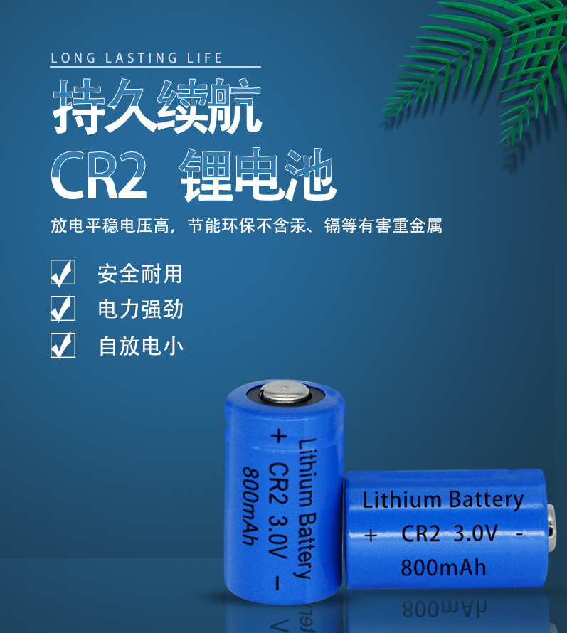 CR2电池