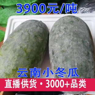 ���С�������r����С���ϳ��춬�����l�r���ԷN���r�߲ˬFժ�F�l